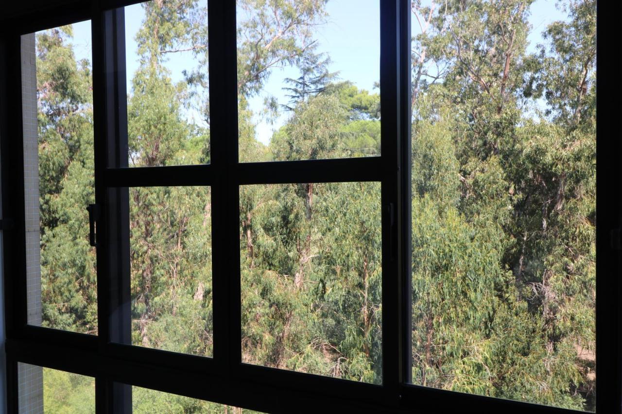 Treetops Apartment