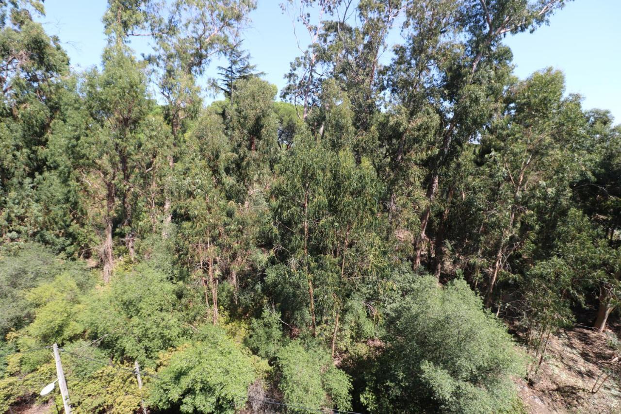 Apartment Treetops *